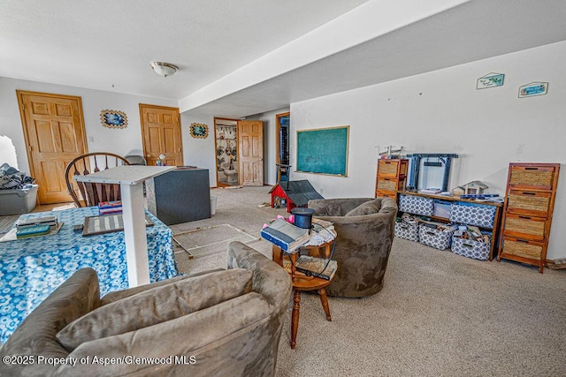 37 Pronghorn Rd, Craig, CO 81625 - view of carpeted living area