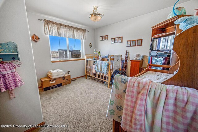 37 Pronghorn Rd, Craig, CO 81625 - view of carpeted bedroom