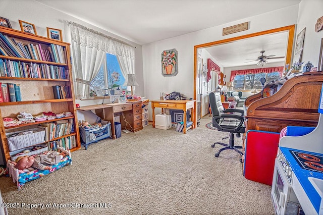 37 Pronghorn Rd, Craig, CO 81625 - office space featuring plenty of natural light, carpet flooring, and ceiling fan