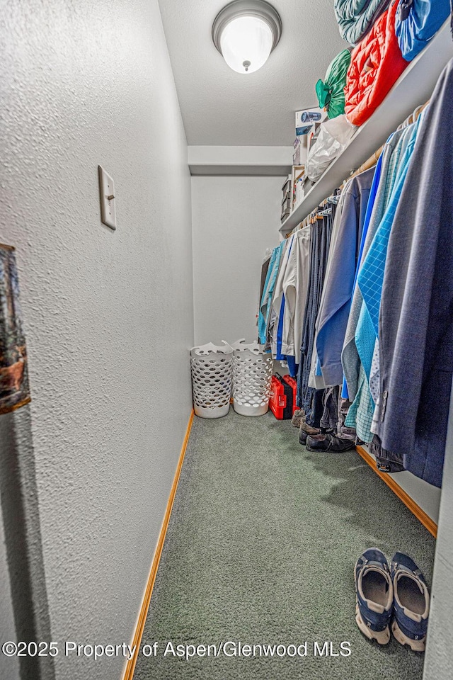 37 Pronghorn Rd, Craig, CO 81625 - spacious closet featuring carpet
