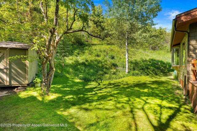1345 Sage Ct, Aspen, CO 81611 - photo 21
