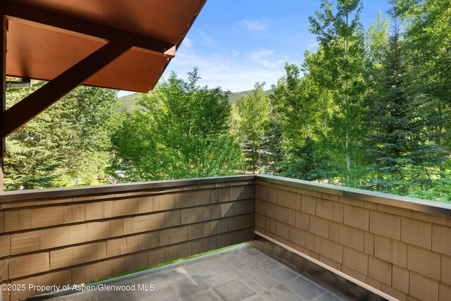 1345 Sage Ct, Aspen, CO 81611 - photo 17