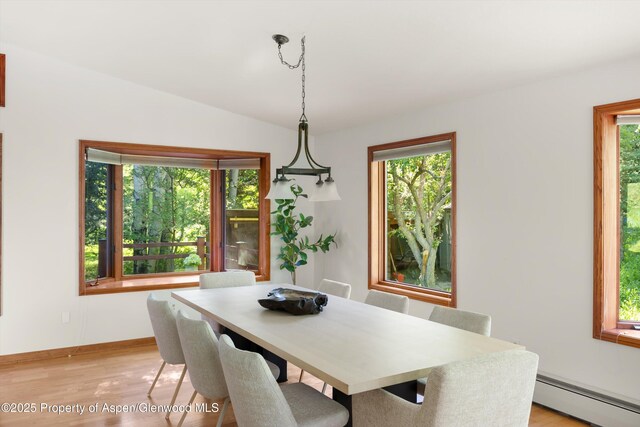 1345 Sage Ct, Aspen, CO 81611 - photo 8