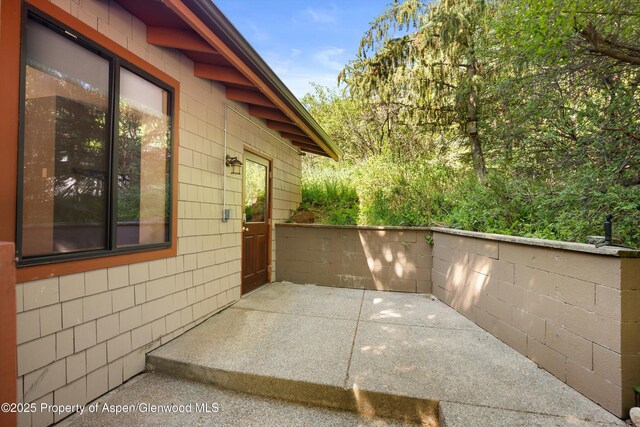 1345 Sage Ct, Aspen, CO 81611 - photo 22