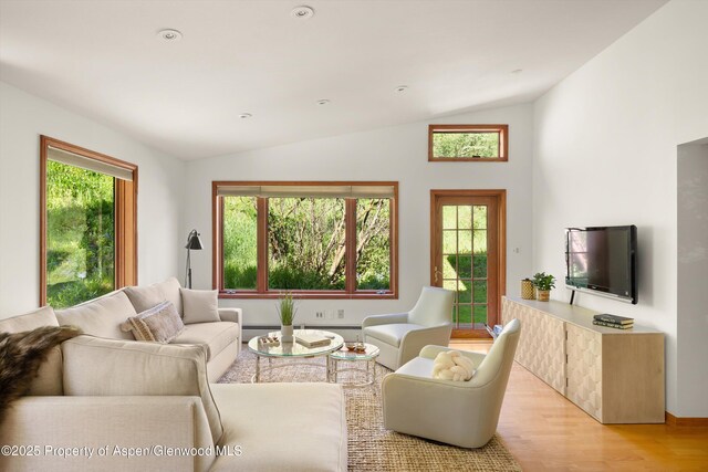 1345 Sage Ct, Aspen, CO 81611 - photo 7
