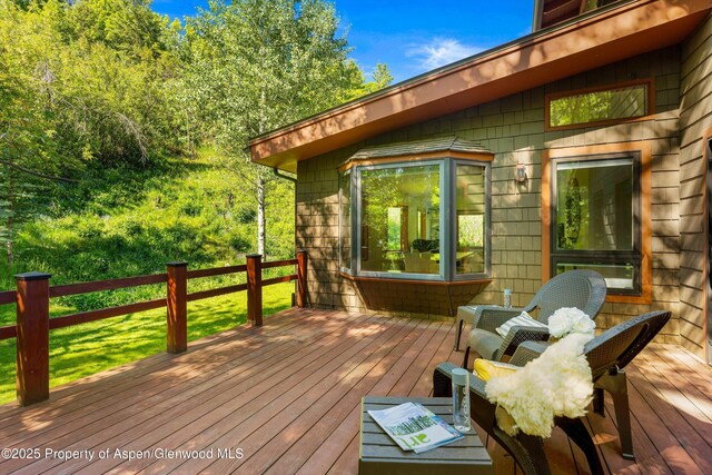 1345 Sage Ct, Aspen, CO 81611 - photo 14