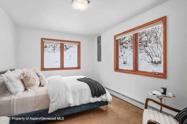 bedroom with carpet and multiple windows