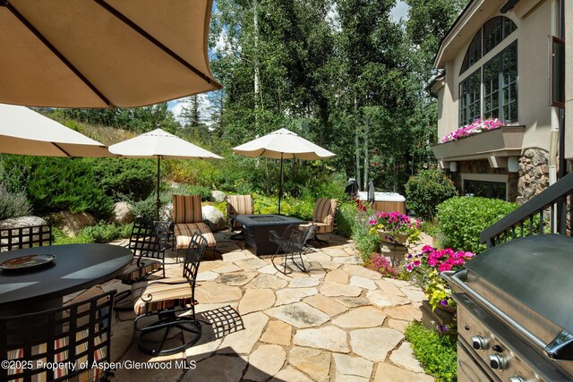 17 Fairway Dr, Snowmass Village, CO 81615 - photo 15