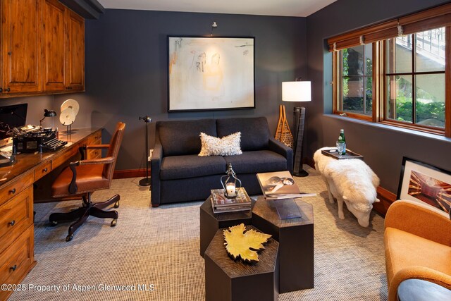 17 Fairway Dr, Snowmass Village, CO 81615 - photo 23