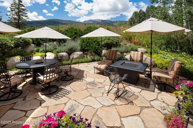 17 Fairway Dr, Snowmass Village, CO 81615 - photo 14