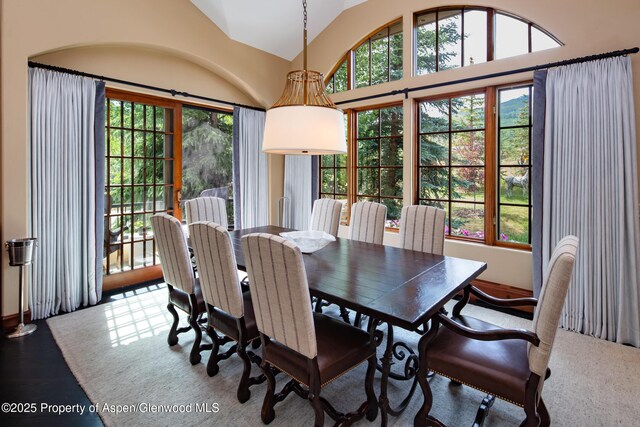 17 Fairway Dr, Snowmass Village, CO 81615 - photo 6