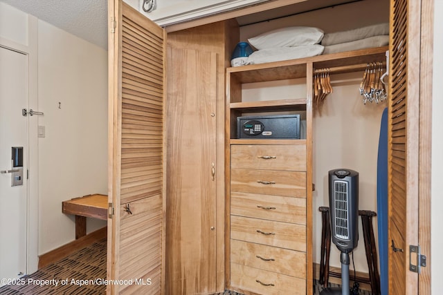 300 Carriage Way Unit 506, Snowmass Village, CO 81615 - view of closet