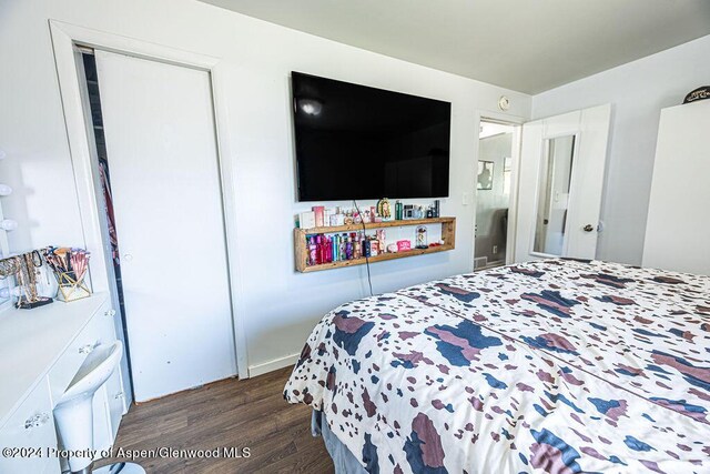 bedroom with dark hardwood / wood-style floors and a closet