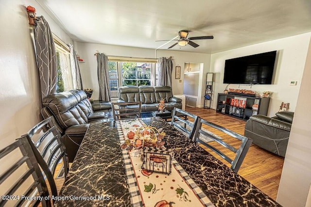 living room with hardwood / wood-style flooring and ceiling fan