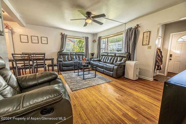 living room with wood-type flooring and ceiling fan