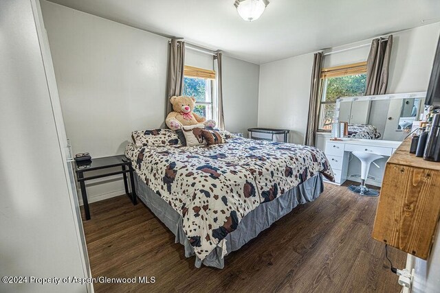 bedroom featuring dark hardwood / wood-style flooring