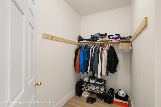 2701 Midland Ave Unit 725, Glenwood Springs, CO 81601 - walk in closet featuring wood finished floors