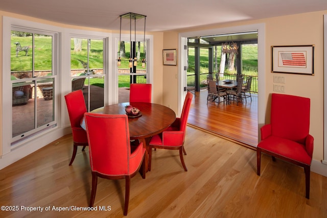 dining area with light hardwood / wood-style floors