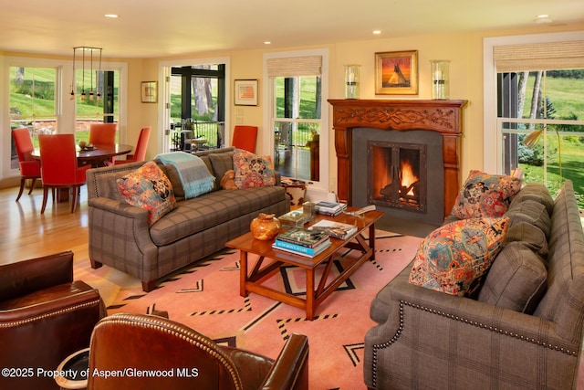 living room with a premium fireplace and light hardwood / wood-style flooring