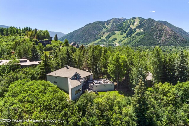 75 Bennett Ct, Aspen, CO 81611 - photo 2