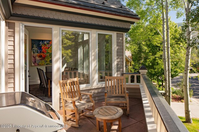 205 N 6th St, Aspen, CO 81611 - view of patio