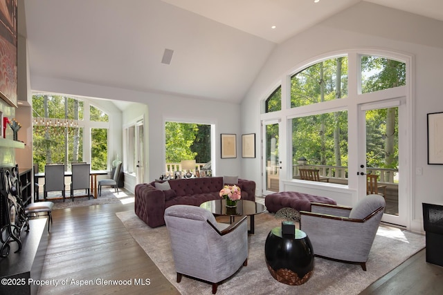 205 N 6th St, Aspen, CO 81611 - living area featuring lofted ceiling and wood finished floors