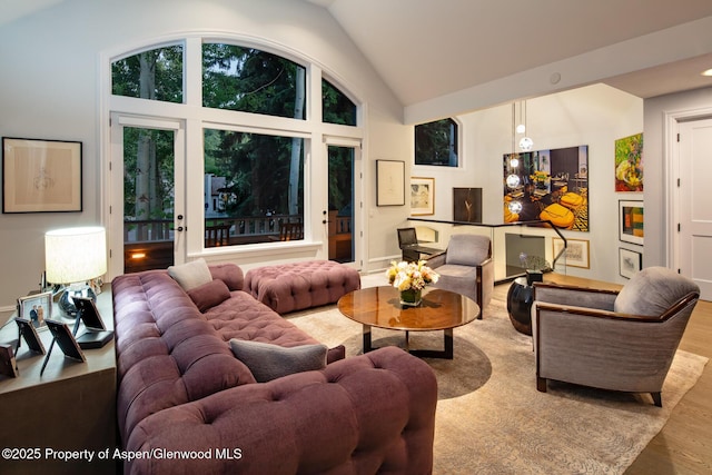 205 N 6th St, Aspen, CO 81611 - living room with wood finished floors and high vaulted ceiling