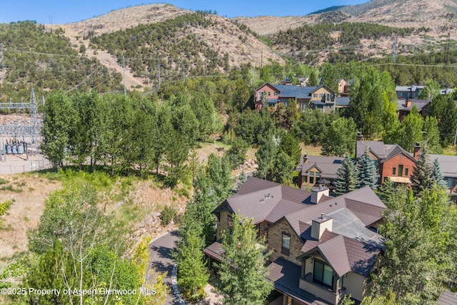 102 Wild Spring Ln, Basalt, CO 81621 - photo 47