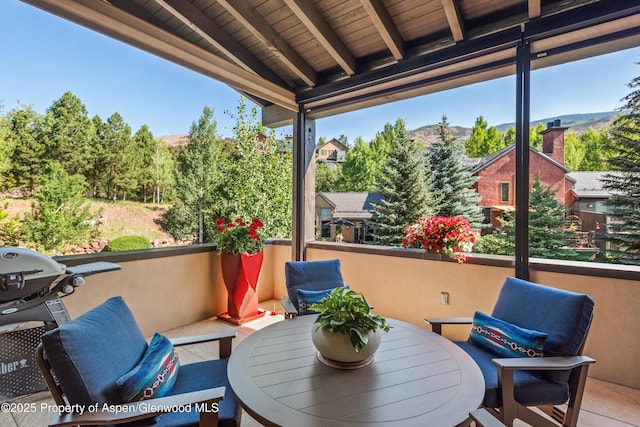 102 Wild Spring Ln, Basalt, CO 81621 - photo 16
