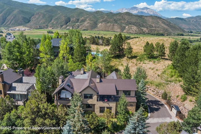 102 Wild Spring Ln, Basalt, CO 81621 - photo 49
