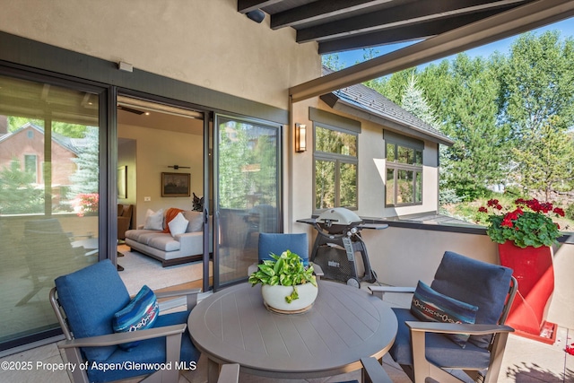 102 Wild Spring Ln, Basalt, CO 81621 - photo 17