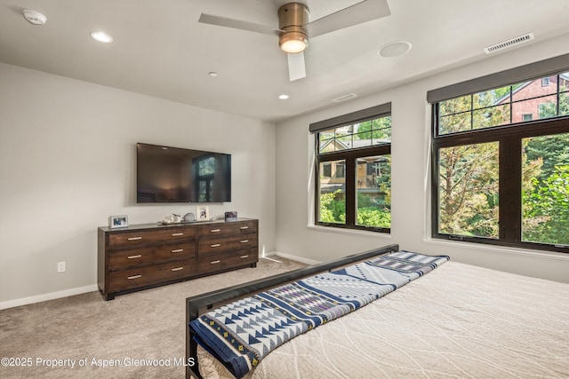 102 Wild Spring Ln, Basalt, CO 81621 - photo 31