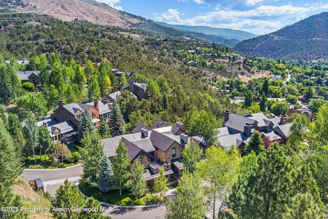 102 Wild Spring Ln, Basalt, CO 81621 - photo 45