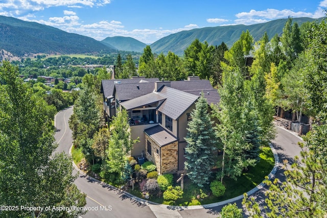 102 Wild Spring Ln, Basalt, CO 81621 - photo 43