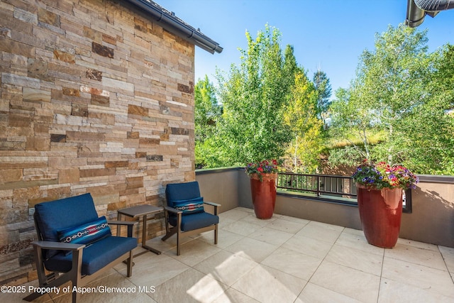 102 Wild Spring Ln, Basalt, CO 81621 - photo 20