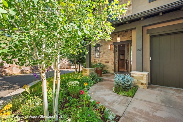 102 Wild Spring Ln, Basalt, CO 81621 - photo 3
