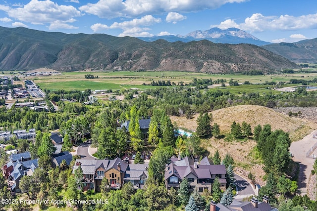 102 Wild Spring Ln, Basalt, CO 81621 - photo 51