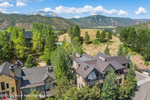 102 Wild Spring Ln, Basalt, CO 81621 - photo 50