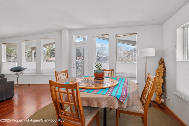 dining space featuring wood finished floors, baseboards, and a wealth of natural light