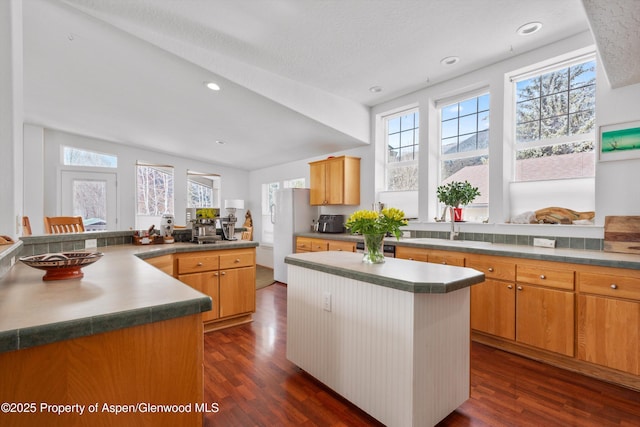 kitchen with a sink, a kitchen island, dark wood-style flooring, and freestanding refrigerator