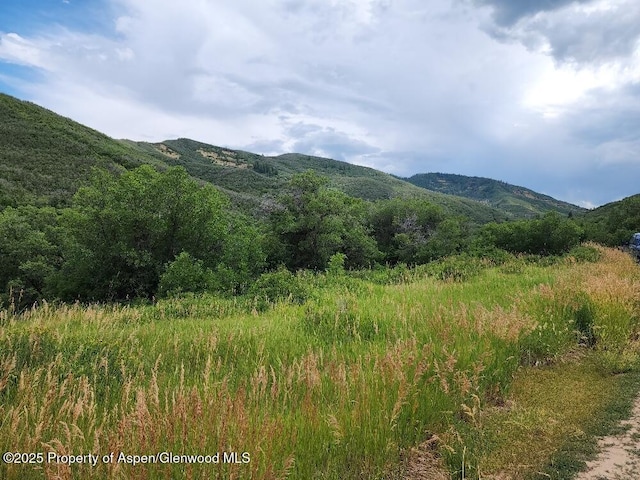 property view of mountains featuring a wooded view
