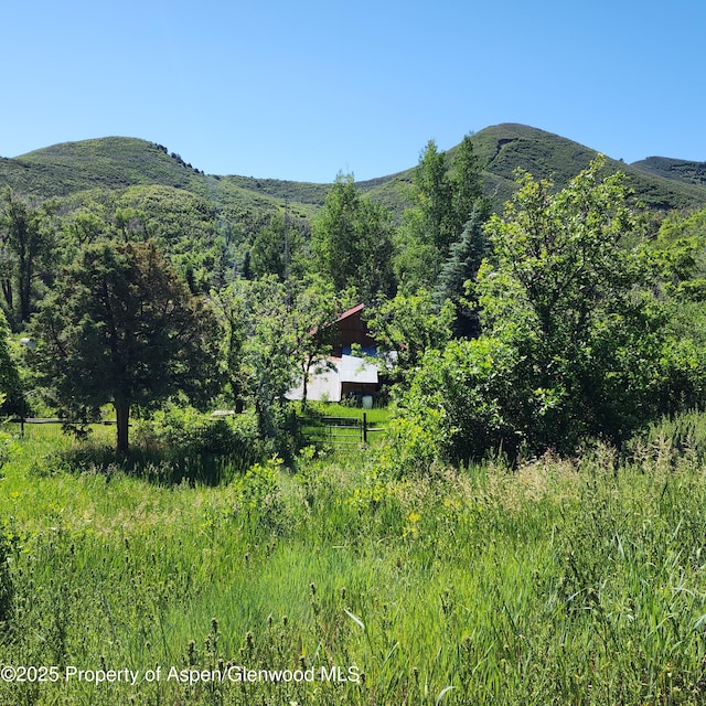 view of mountain feature featuring a wooded view