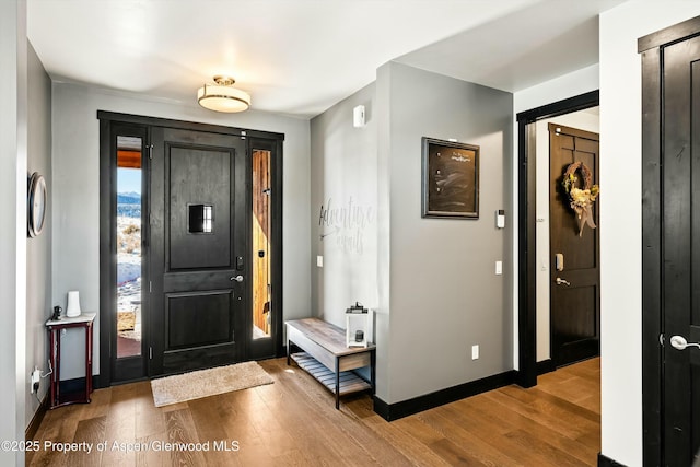 foyer entrance with hardwood / wood-style flooring