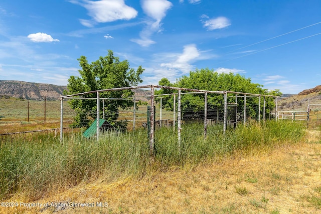 view of yard featuring a mountain view and a rural view