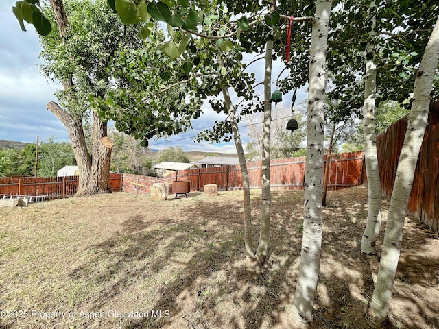 1111 Barclay St, Craig, CO 81625 - view of fenced backyard