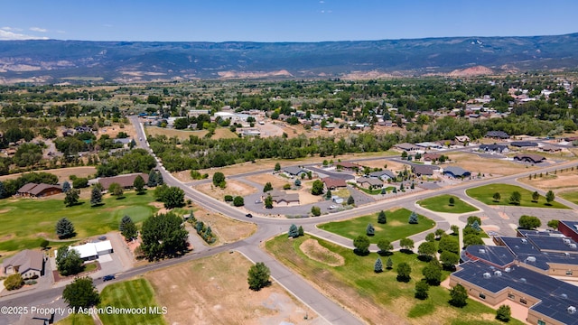325 SE Cobblestone Ct, Cedaredge, CO 81413 - aerial perspective of suburban area with a mountain backdrop