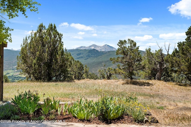 14 Fender Ln, Carbondale, CO 81623 - mountain view