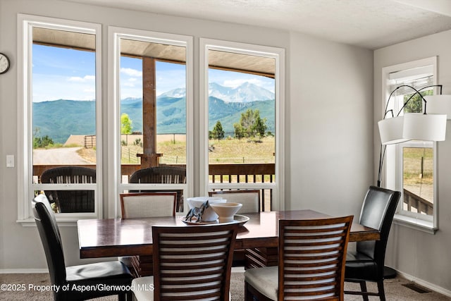 14 Fender Ln, Carbondale, CO 81623 - dining room featuring carpet floors and a mountain view