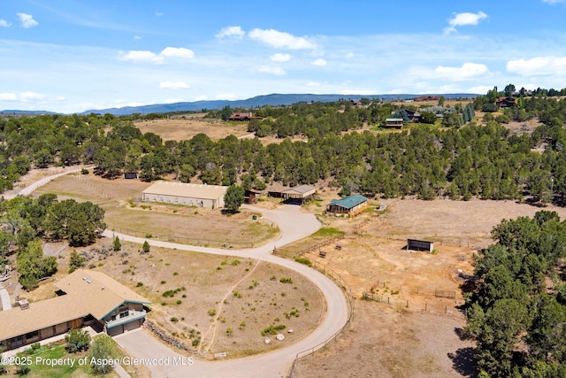 14 Fender Ln, Carbondale, CO 81623 - bird's eye view of a mountainous background