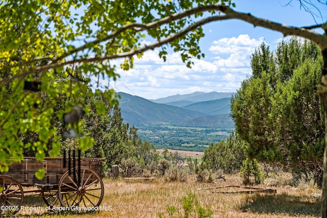 14 Fender Ln, Carbondale, CO 81623 - view of mountain background